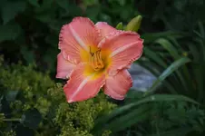 DSC_2026.webp