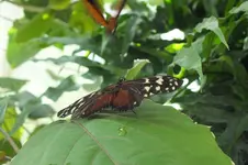 2014_0703sommer0090.webp