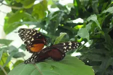 2014_0703sommer0091.webp