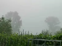 P1140898.webp