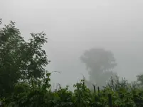 P1140899.webp