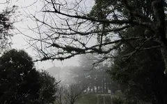 Copy of IMG_8926v.webp