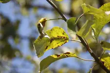 _MG_9149.webp
