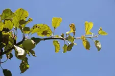 _MG_9150.webp