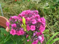 018_1024x768.webp