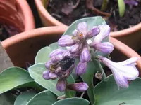 001_1024x768.webp