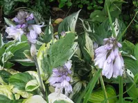 003_1024x768.webp