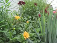002.webp