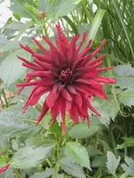 004.webp