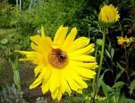 DSCN0431.webp