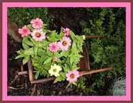 016.webp