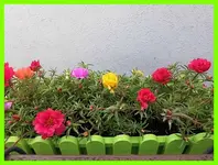 011.webp