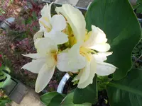 DSCN1144.webp
