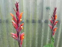 DSCN1152.webp