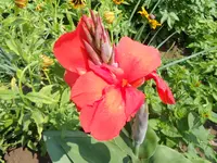 DSCN1157.webp