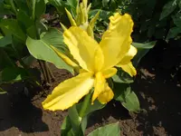 DSCN1161.webp