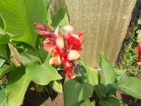 DSCN1164.webp