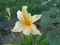 DSCN1149.webp