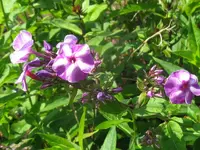 025_1024x768.webp
