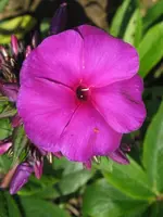 026_576x768.webp