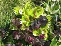 014_1024x768.webp