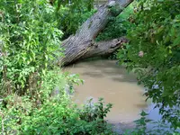 CIMG8275.webp