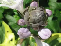 009_1024x768.webp