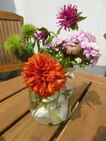 P1150080.webp