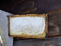 DSCF3560.webp