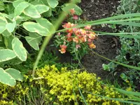 SAM_4919.webp