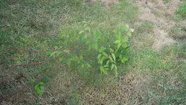 DSCF3003.webp