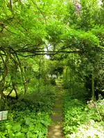CIMG8269.webp