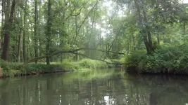 DSCF2933.webp