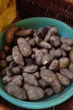 Kartoffeln.webp