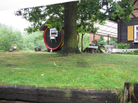 IMG_1169.webp