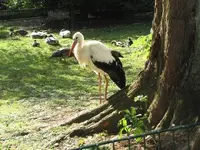 Bild 1235.webp