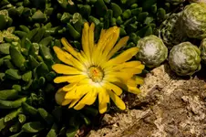 Stg 14-07-12-2859.webp