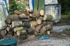 DSC01993.webp