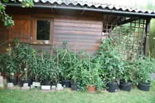 IMG_2408.webp