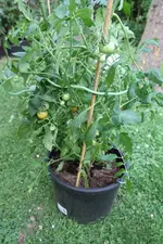 Jana-IMG_2393.webp