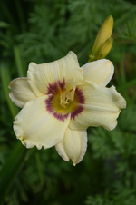 DSC_2045.webp