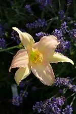 DSC_2048.webp
