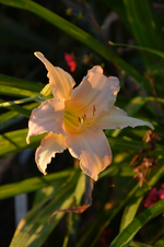 DSC_2053.webp
