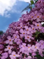 2014-07-01 15.25.47.webp