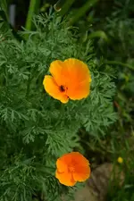 DSC_2046.webp