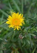 DSC_2066.webp