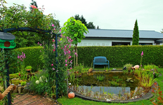 Teiche im Sommerlook_700.webp