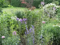 regenpause 003.webp