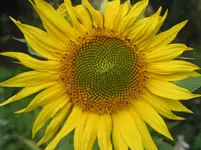 regenpause 005.webp
