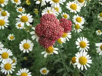 regenpause 009.webp